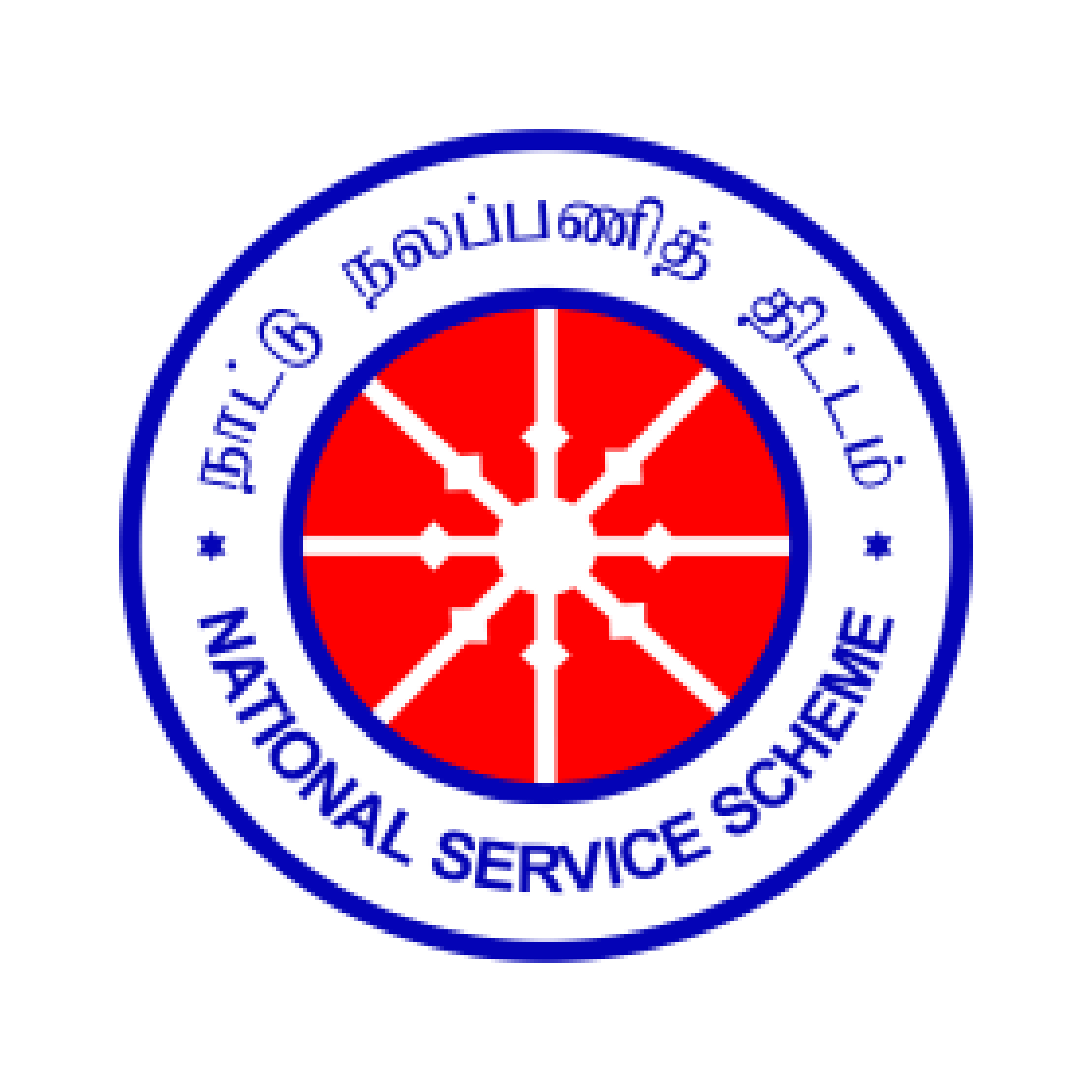 NSS Activities